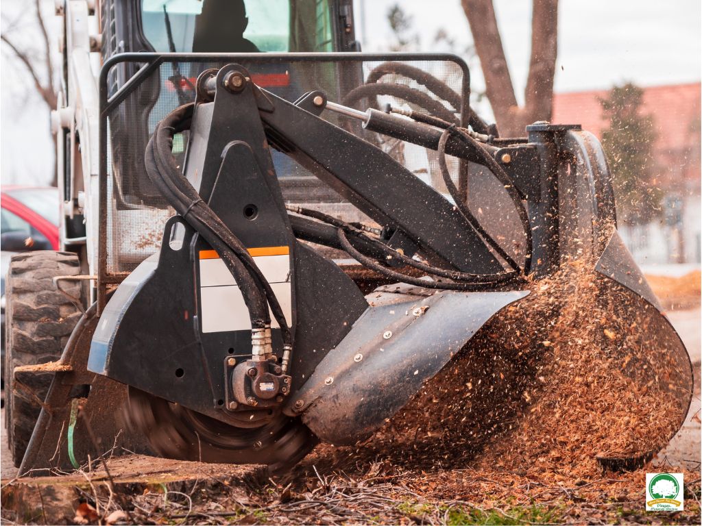 Tree Stump Removal Grinding Services Ewing NJ - Above Ground Tree Services