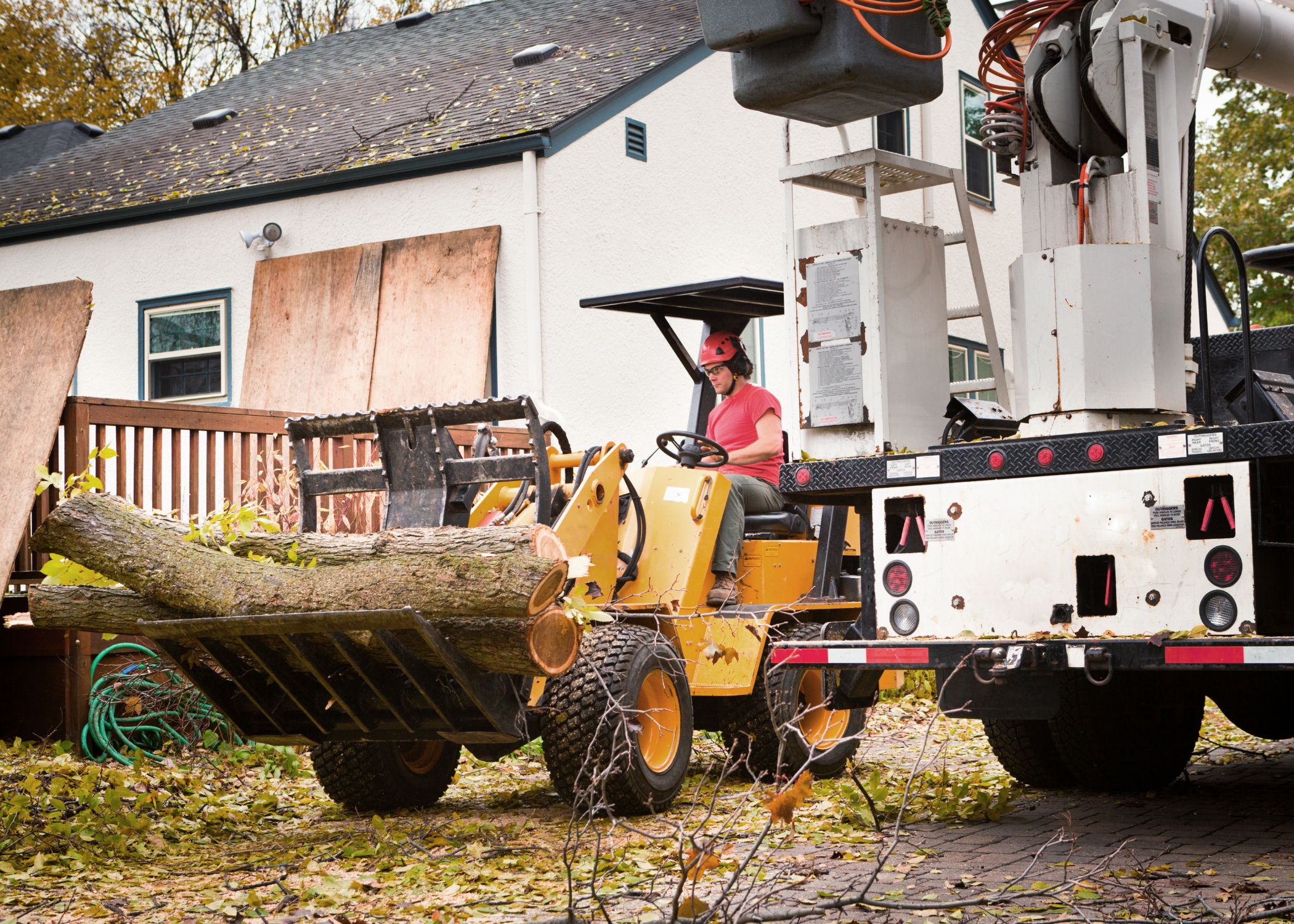 Tree Removal