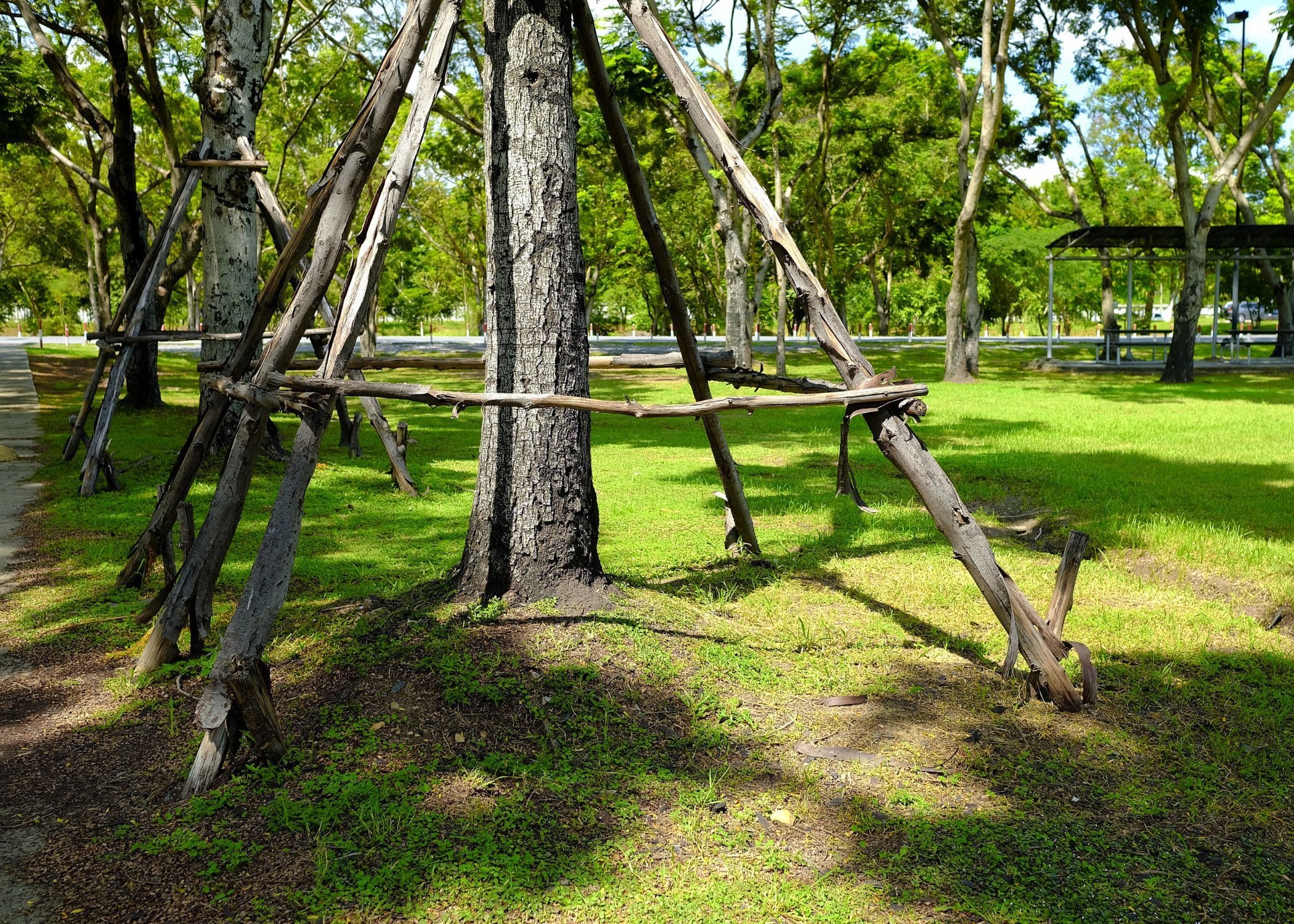 Tree Cabling and Bracing