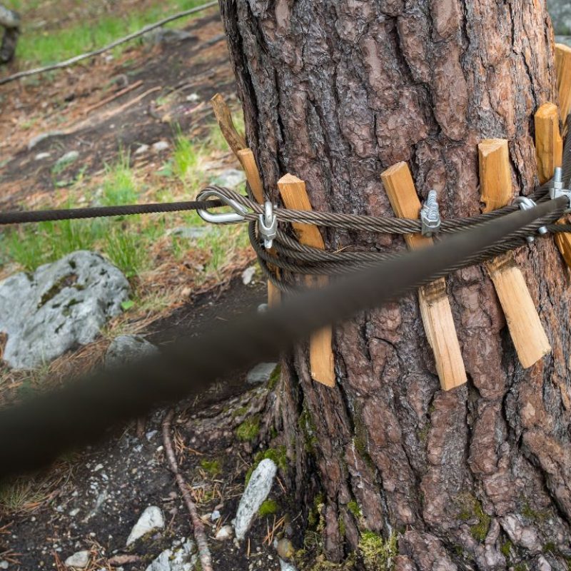 Tree Cabling Bracing Services Ewing NJ - Above Ground Tree Services