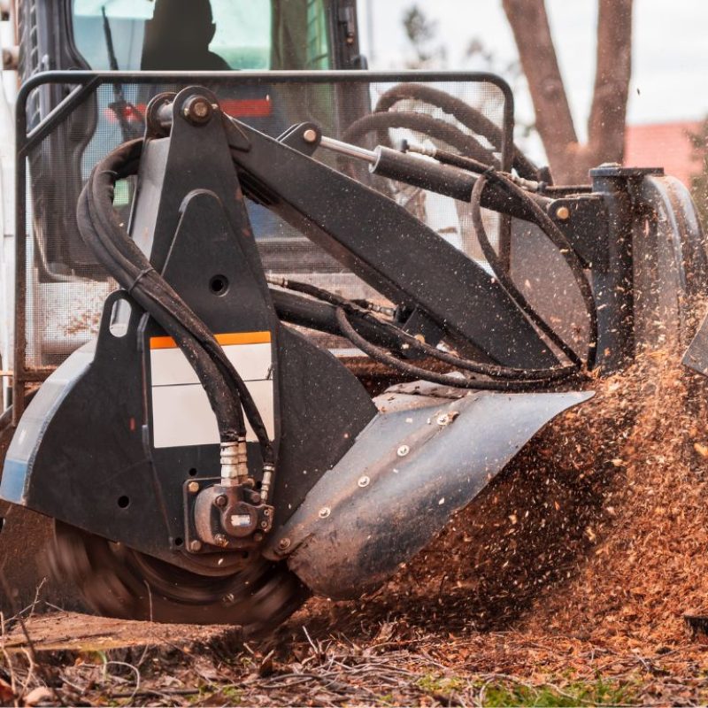 Tree Stump Removal Grinding Services Ewing NJ - Above Ground Tree Services