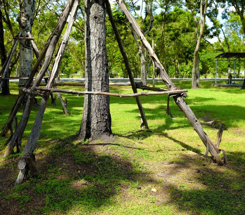 Tree cabling and bracing